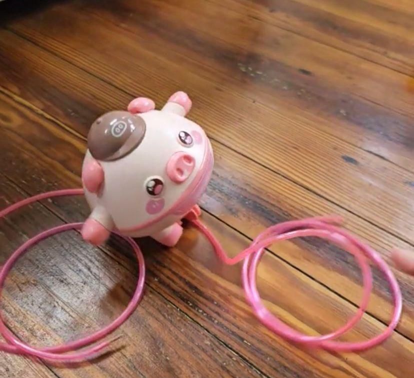 Walking Pig